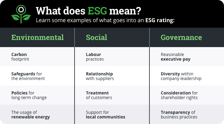 What does ESG mean - Graphic