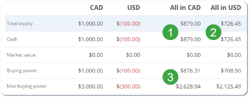 margin-account-borrowing-example